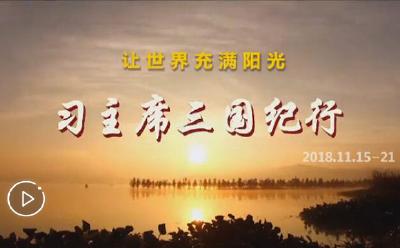 习近平访问巴新、文莱、菲律宾并同建交太平洋岛国领导人会晤纪实