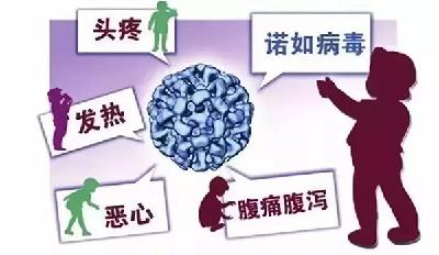 多地出现学校停课！这种病毒进入高发期 传播极快！家长千万注意