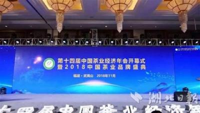 厉害了！巴东跻身2018中国茶业百强县
