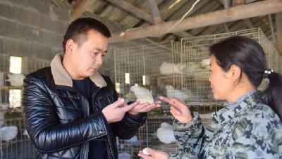 精准扶贫群英谱 | “杨书记接地气”：记宣恩芭叶槽村第一书记杨伟