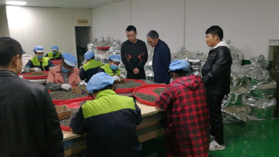 吴远方带队开展2019年全州工业新增长点摸排调研