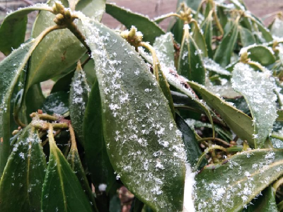下雪啦下雪啦！今日恩施多地纷纷落下雪花~