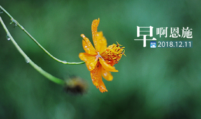 早啊！新闻来了！（2018.12.11）