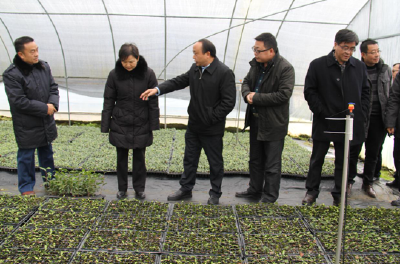 省人社厅刘艳红厅长到恩施州开展调研
