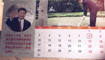 两棵高山榕 续写春天的故事