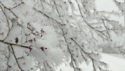晶莹雪景再刷屏！恩施雨雪天来袭，全州多地道路结冰，出行请……