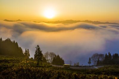 州交通运输局党组中心组研讨习近平总书记在改革开放40周年大会上的讲话精神