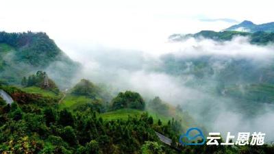 还不够！鹤峰再获国家级称号 全州唯一