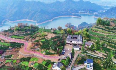 鄂西生态文化旅游圈专家学者探讨高职教育助力乡村振兴