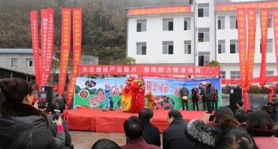 舞狮、彩龙船……这场乡土文化节精彩纷呈！