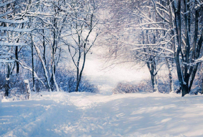 雪中漫步