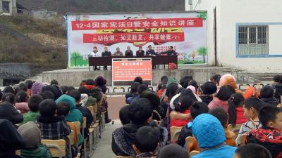 宣恩县组织开展宪法宣传进校园活动