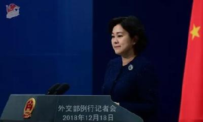 盘点2018年外交天团“精彩回应” 内容引起极度舒适