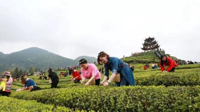 杭州牵手恩施， 对口帮扶成“扎根工程”