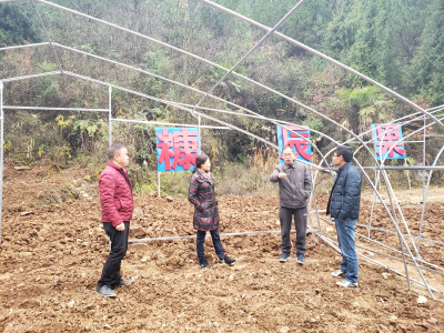 恩施州农业局送种植技术到园淌子村