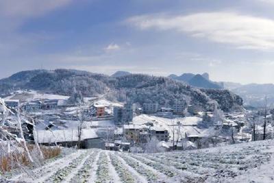 【纪检人·镜头】建始县：风雪一线，党员干部在行动