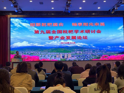 宣恩一企业应邀参加第九届全国枇杷学术研讨会暨产业发展论坛 全州唯一