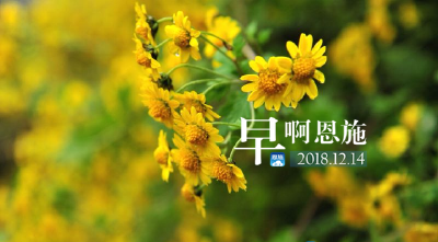 早啊！恩施（2018.12.14）