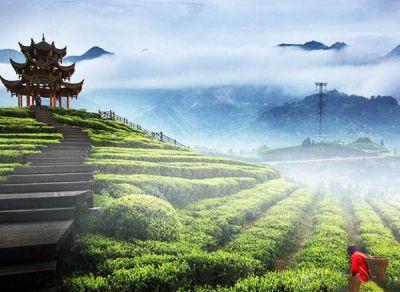 中国旅游报推介恩施州全域旅游发展经验