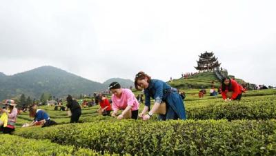半月谈丨杭州牵手恩施，对口帮扶成“扎根工程”