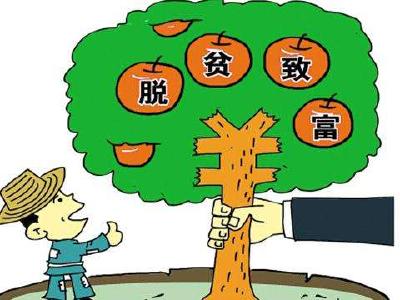 筑牢发展之基——来凤决胜精准脱贫全面小康之三