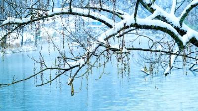鹤峰：雪中董家河 一阙清丽婉约的宋词
