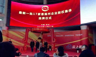 最新一批17家恩施州企业股权集体成功挂牌