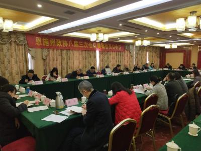 政协恩施州八届三次会议召开提案委员会会议
