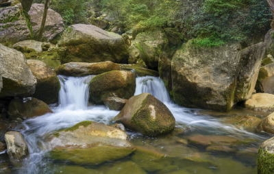 鹿院坪景区门票价格新消息