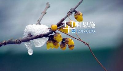 早啊！恩施（2019.01.03）