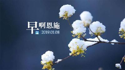 早啊！恩施（2019.01.08）