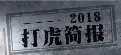 2018“打虎”简报