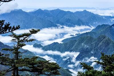 祝贺！湖北一地捧回两项全国大奖！凭的是啥？