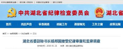 湖北省委副秘书长杨邦国接受纪律审查和监察调查