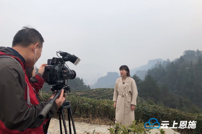 为了一个白萝卜，央视《农广天地》栏目组在建始待了8天 