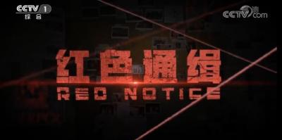中纪委全会正在召开，大家都在谈这部片子