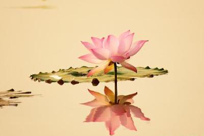 咸丰县：渔鼓唱“廉”歌 “十进十建”进万家