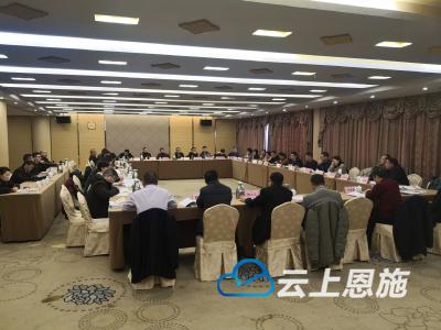 云上恩施跑两会丨政协委员分组讨论《政府工作报告》和两院工作报告 