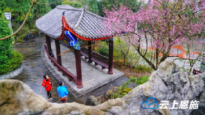 梅：更无花态度 全有雪精神