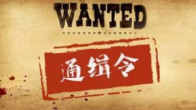 ​公安部发布A级通缉令，找这十个人
