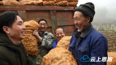 纪检扶贫干部穿针引线，贫困户抢领“脱贫种”