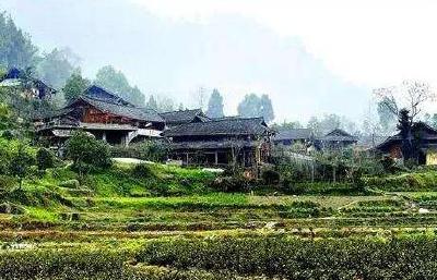 恩施州电视台驻咸丰县唐崖镇邓家沟村“尖刀班”荣获州“脱贫攻坚驻村帮扶榜样”集体类奖