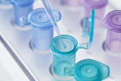 恩施市出台《生物医药产业规划》 将建8个药材专业乡镇40个重点药材村