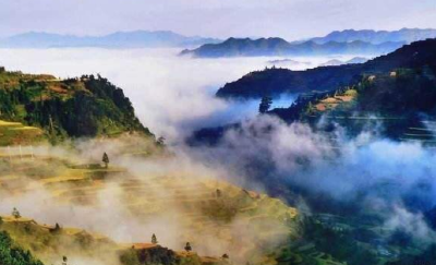 巴东：昔日荒山变景区　小茶叶撬动产业大扶贫
