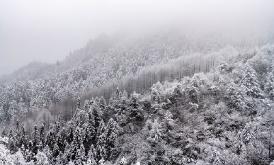 鹤峰：2018年末的雪景让人惊艳