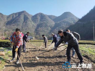 冬闲时节人未闲，鹤峰村民不等不靠 自发修路忙