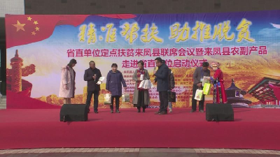 以购代捐 省直单位助力来凤农产品出山