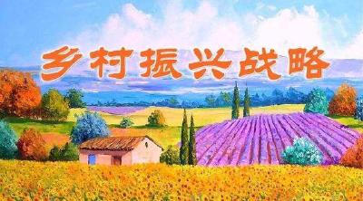 别让“围村垃圾”挡了乡村振兴的路