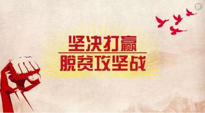 重磅！恩施市委书记、市长共同签发1号令！2019，这场硬仗我们务必打赢！