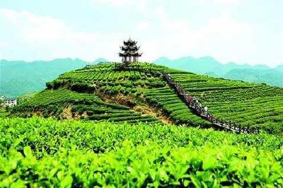 恩施州这些地方和个人被评为“全省百佳”